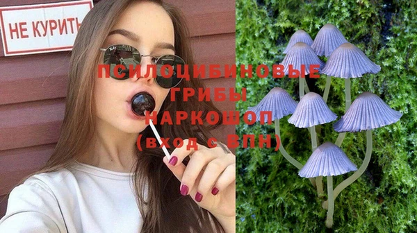 прущая мука Абаза